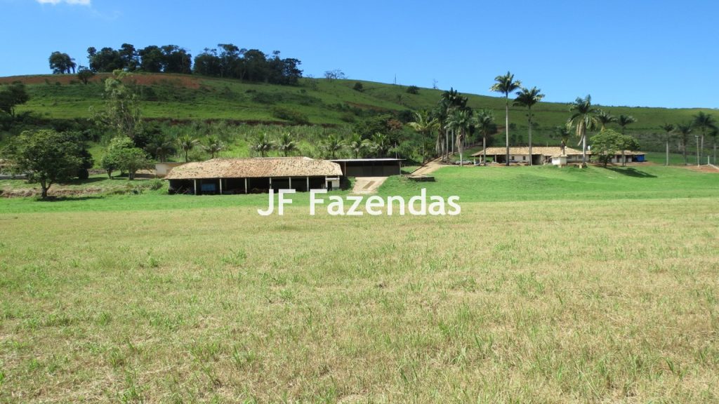 Sitio em Guarará – MG 38 hectares
