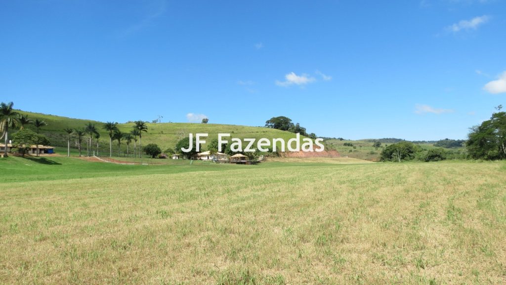 Sitio em Guarará – MG 38 hectares