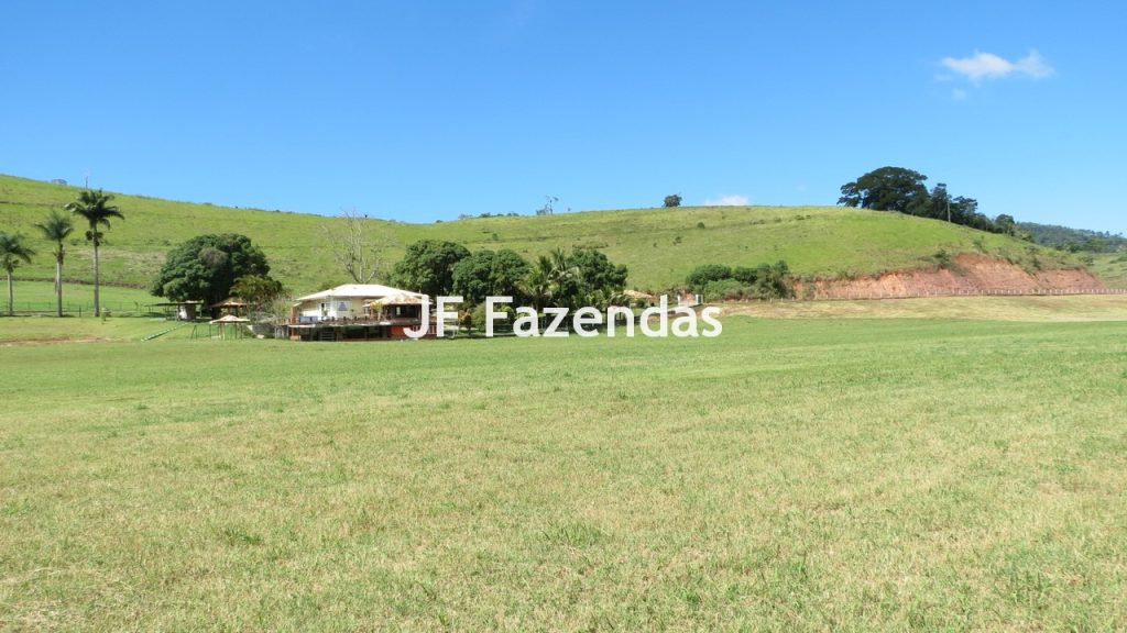 Sitio em Guarará – MG 38 hectares