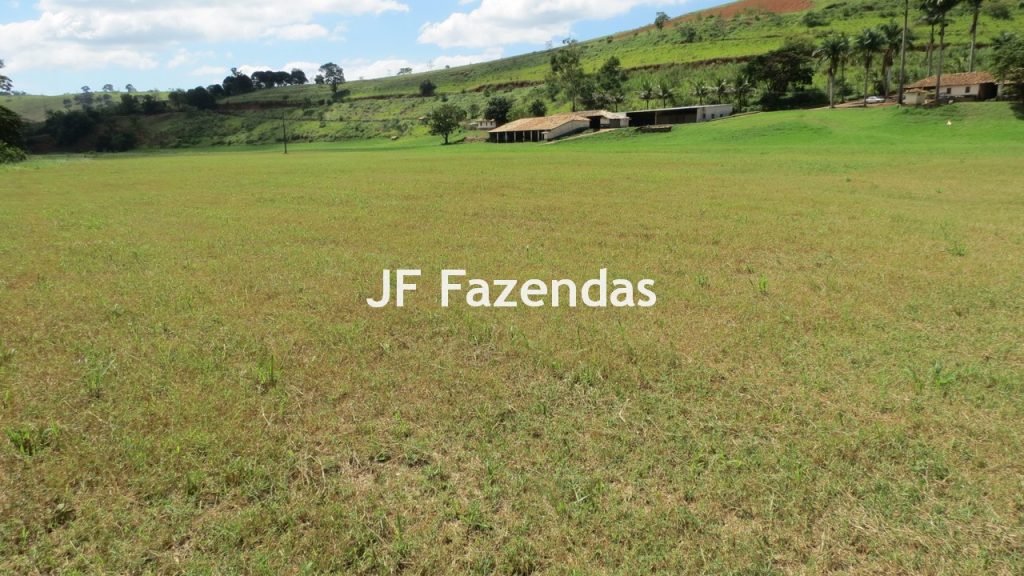 Sitio em Guarará – MG 38 hectares