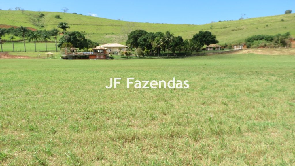 Sitio em Guarará – MG 38 hectares