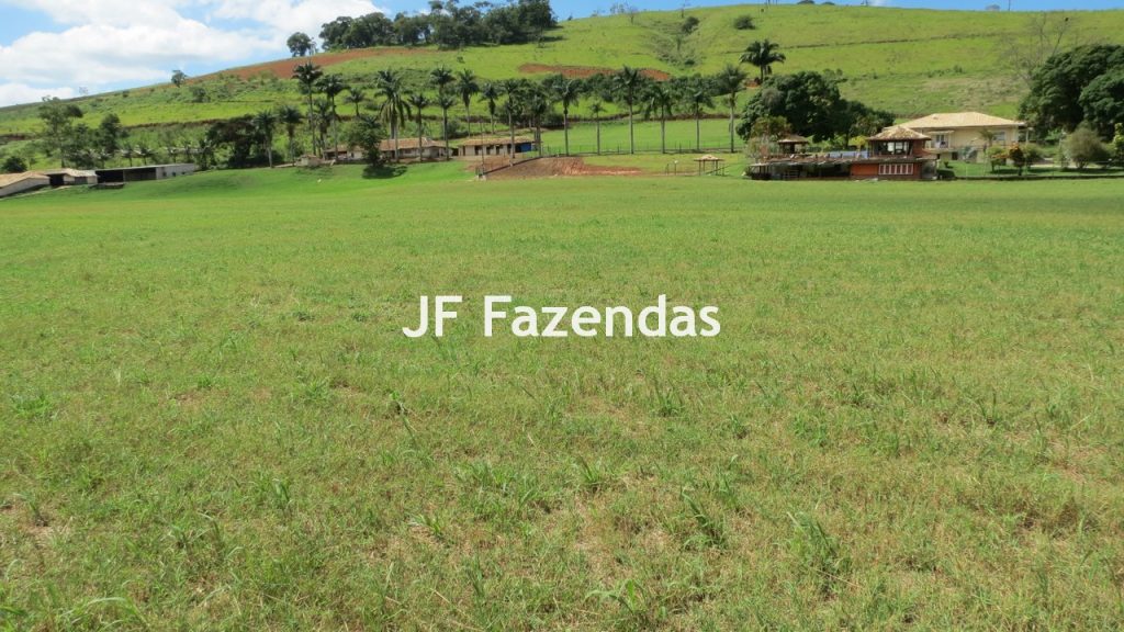 Sitio em Guarará – MG 38 hectares