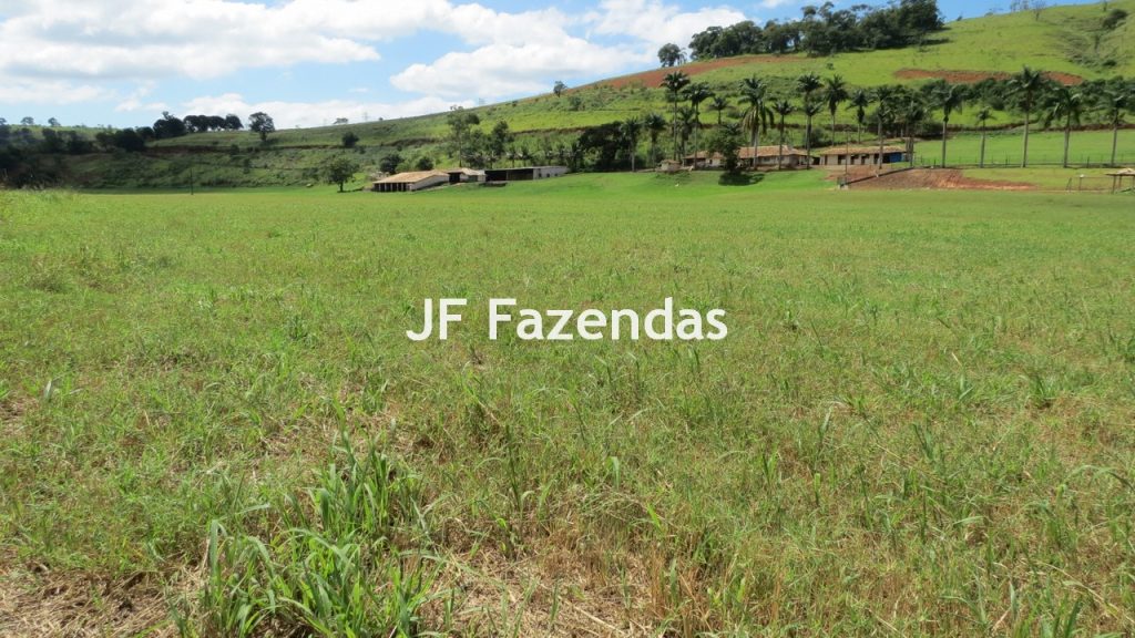 Sitio em Guarará – MG 38 hectares