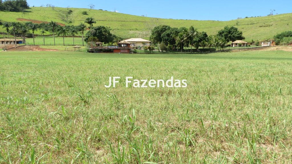Sitio em Guarará – MG 38 hectares