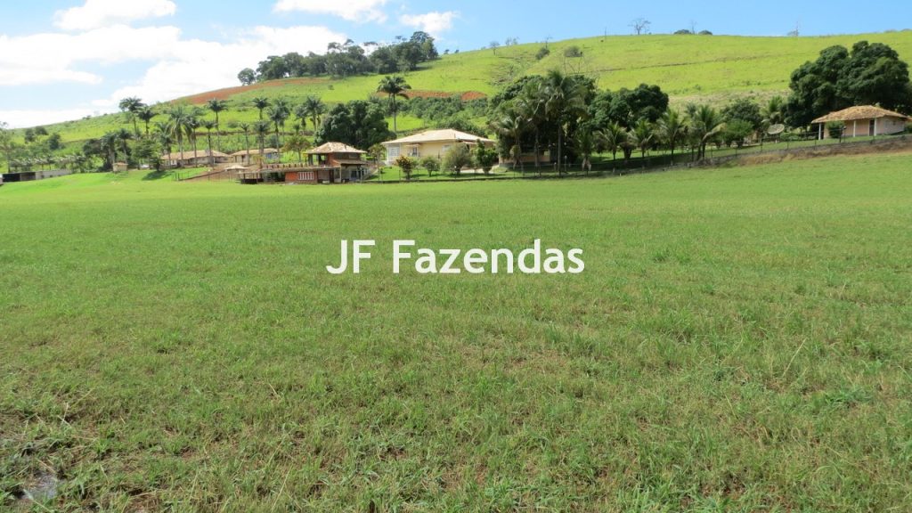 Sitio em Guarará – MG 38 hectares
