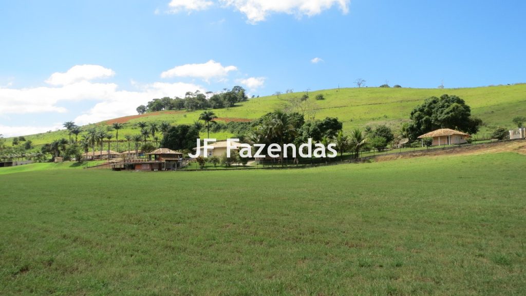 Sitio em Guarará – MG 38 hectares