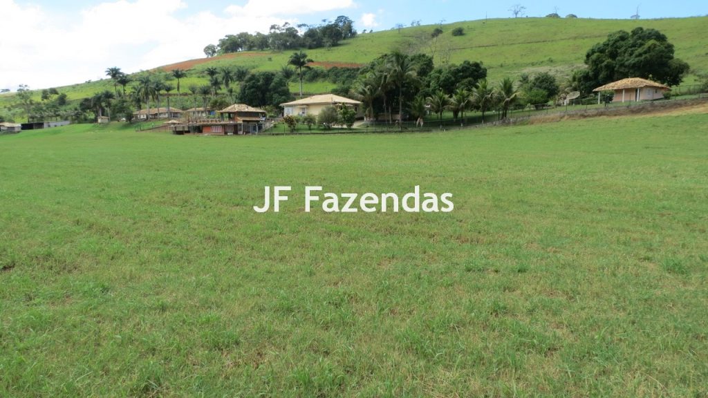 Sitio em Guarará – MG 38 hectares