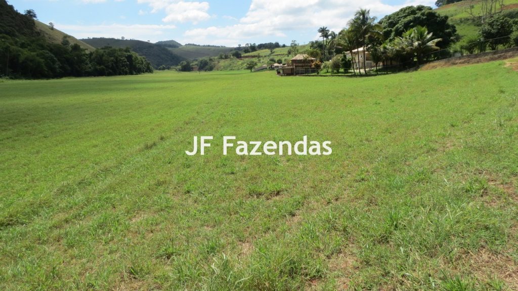 Sitio em Guarará – MG 38 hectares