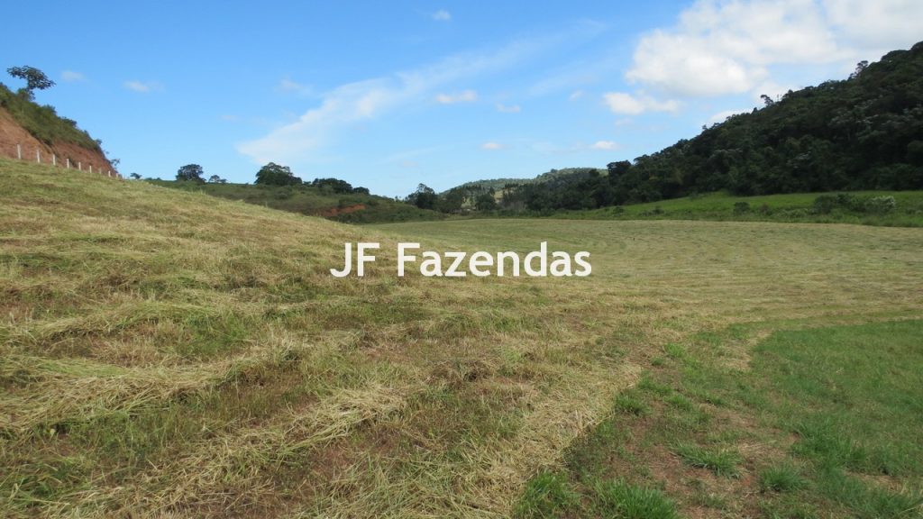 Sitio em Guarará – MG 38 hectares