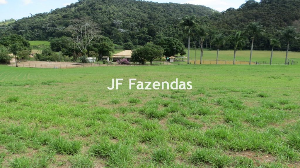 Sitio em Guarará – MG 38 hectares