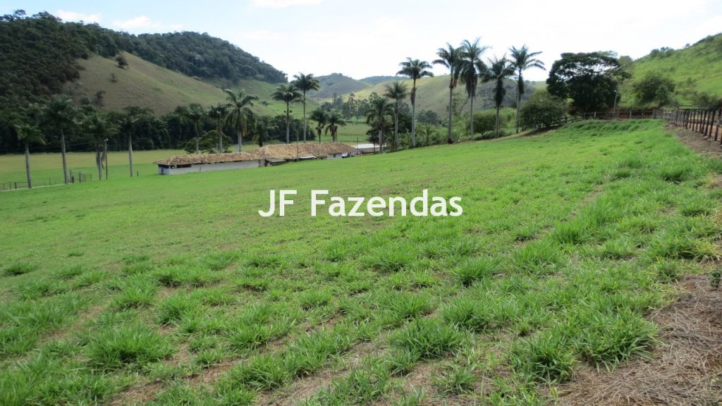 Sitio em Guarará – MG 38 hectares