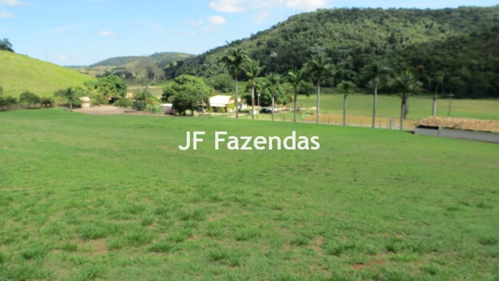 Sitio em Guarará – MG 38 hectares