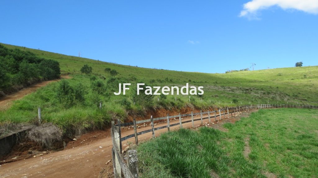 Sitio em Guarará – MG 38 hectares
