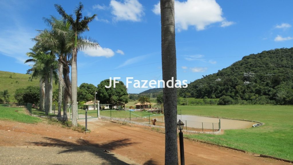 Sitio em Guarará – MG 38 hectares