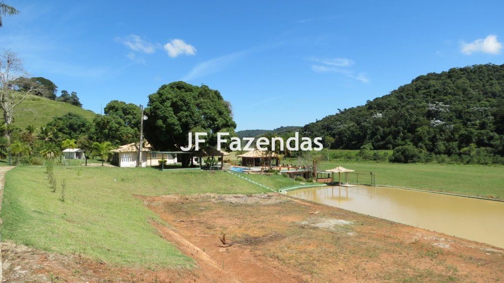 Sitio em Guarará – MG 38 hectares