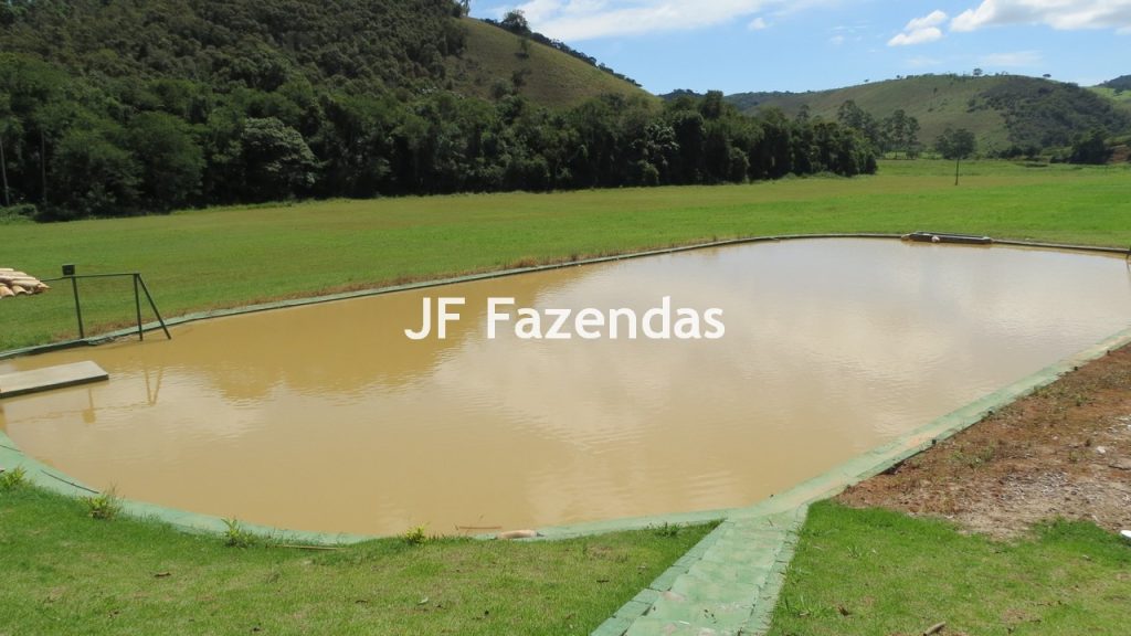 Sitio em Guarará – MG 38 hectares