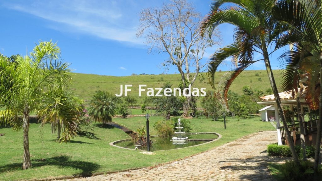 Sitio em Guarará – MG 38 hectares