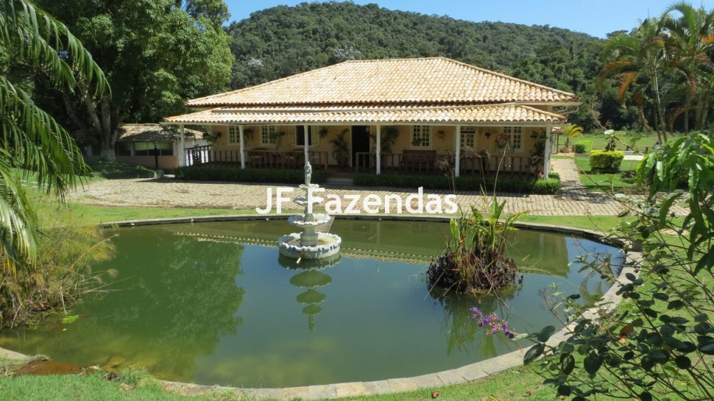 Sitio em Guarará – MG 38 hectares
