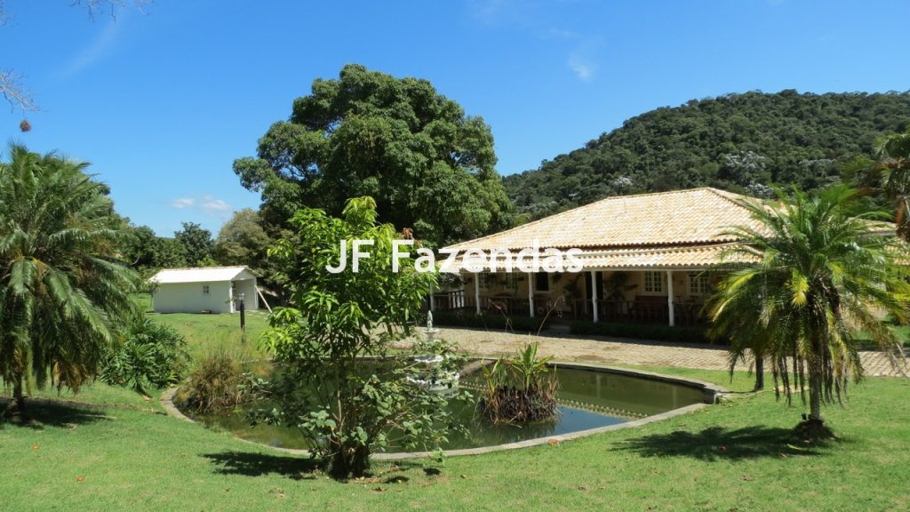 Sitio em Guarará – MG 38 hectares