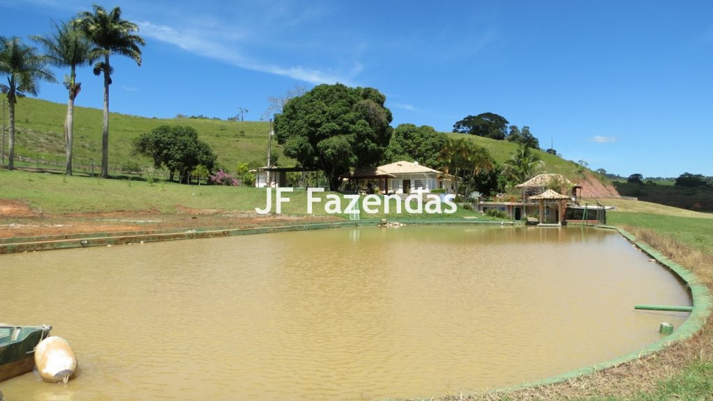 Sitio em Guarará – MG 38 hectares