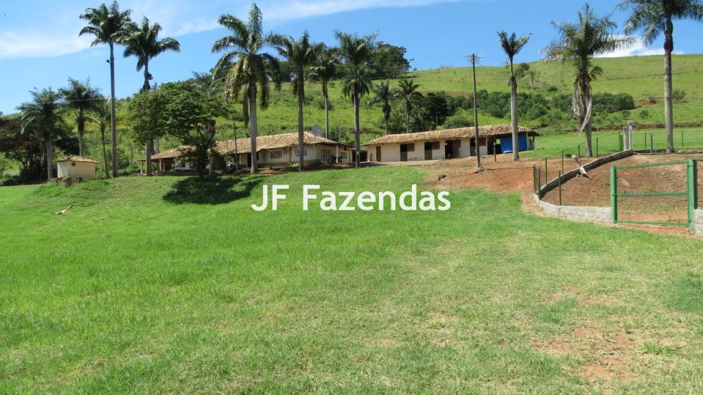 Sitio em Guarará – MG 38 hectares