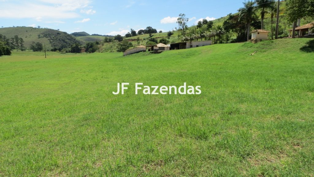 Sitio em Guarará – MG 38 hectares