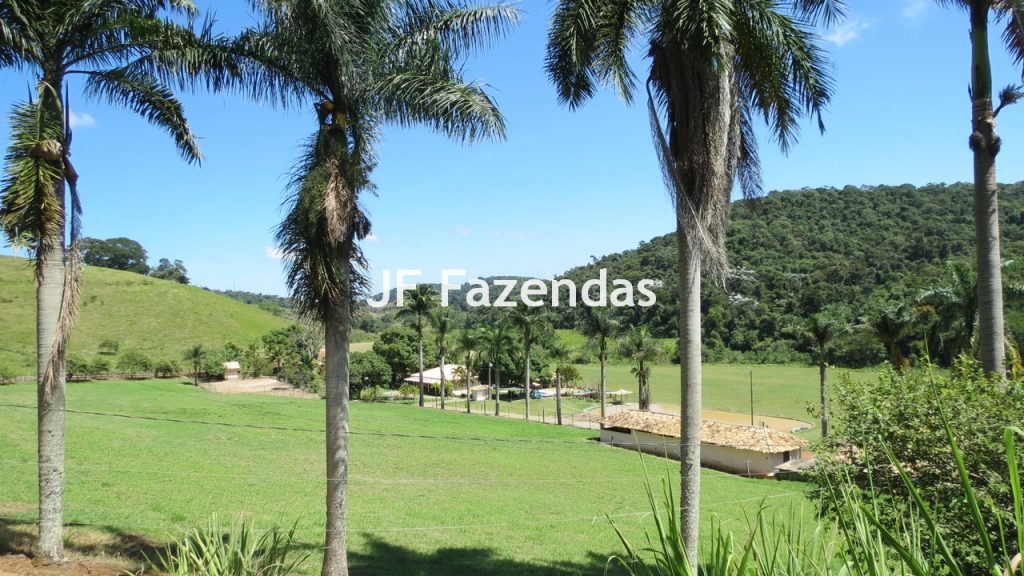 Sitio em Guarará – MG 38 hectares