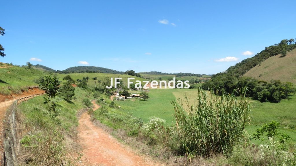 Sitio em Guarará – MG 38 hectares