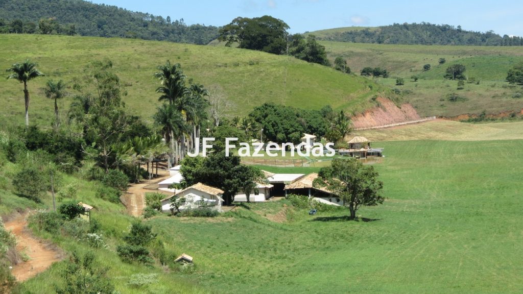 Sitio em Guarará – MG 38 hectares