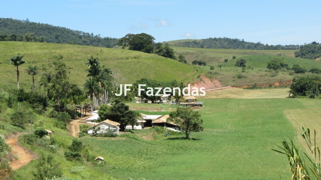 Sitio em Guarará – MG 38 hectares