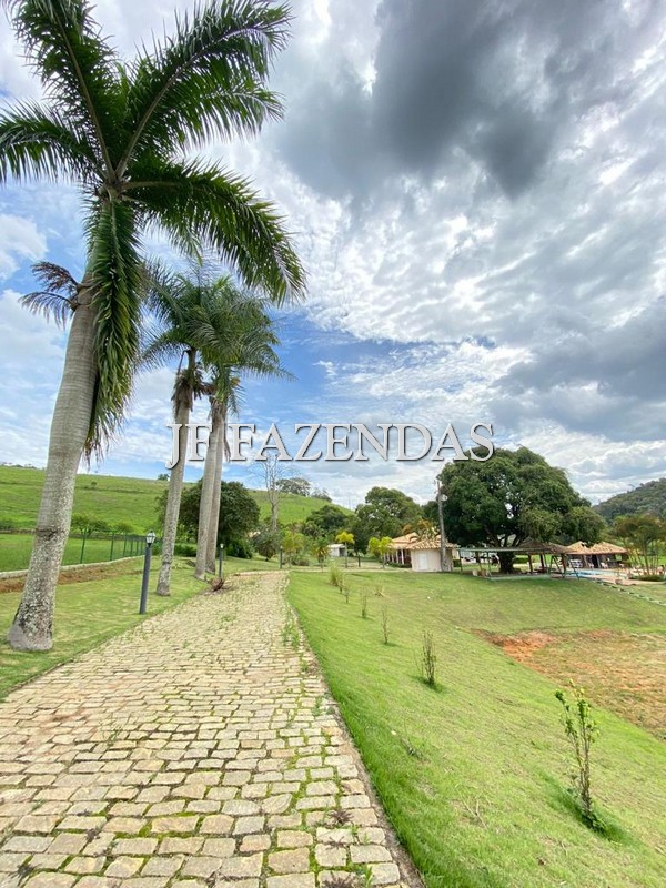 Sitio em Guarará – MG 38 hectares