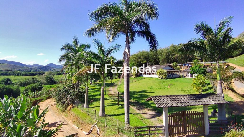 Sitio em Piau-MG – 31.9 hectares