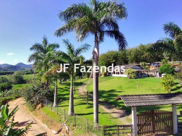 Sitio em Piau-MG – 31.9 hectares