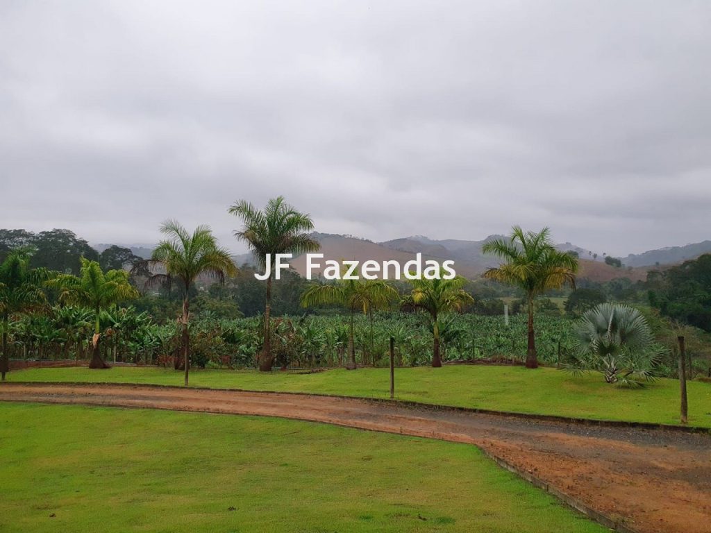 Sitio em Piau-MG – 31.9 hectares