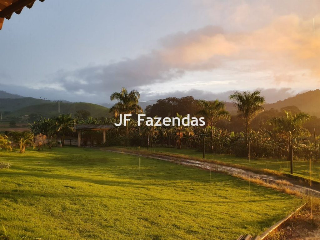 Sitio em Piau-MG – 31.9 hectares