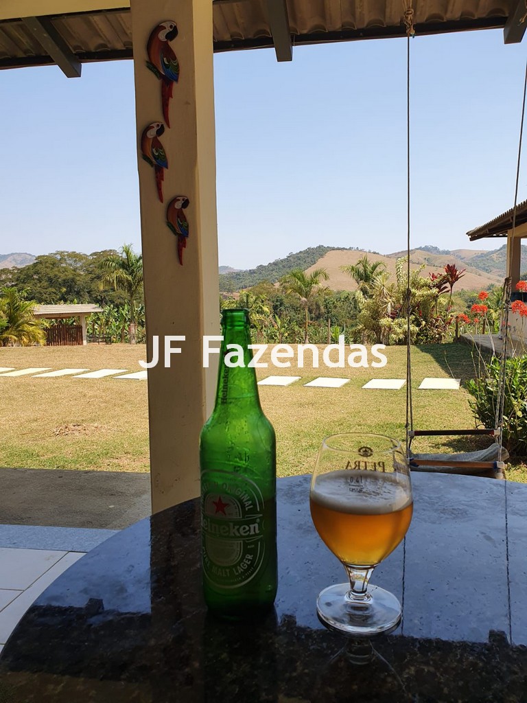 Sitio em Piau-MG – 31.9 hectares