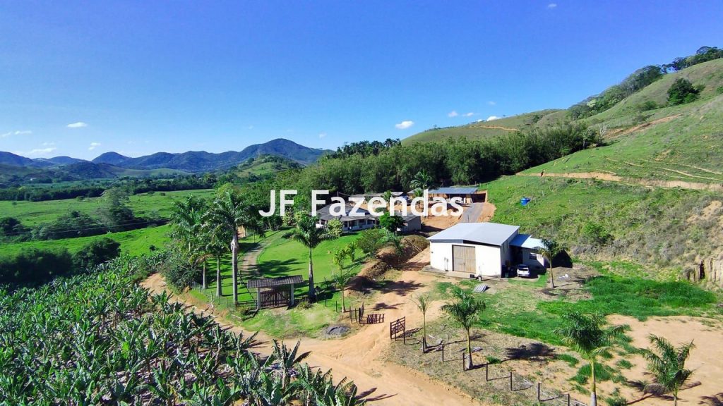 Sitio em Piau-MG – 31.9 hectares