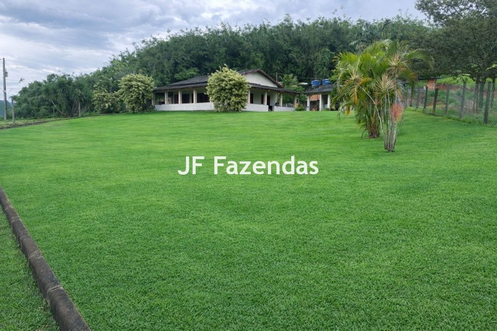 Sitio em Piau-MG – 31.9 hectares