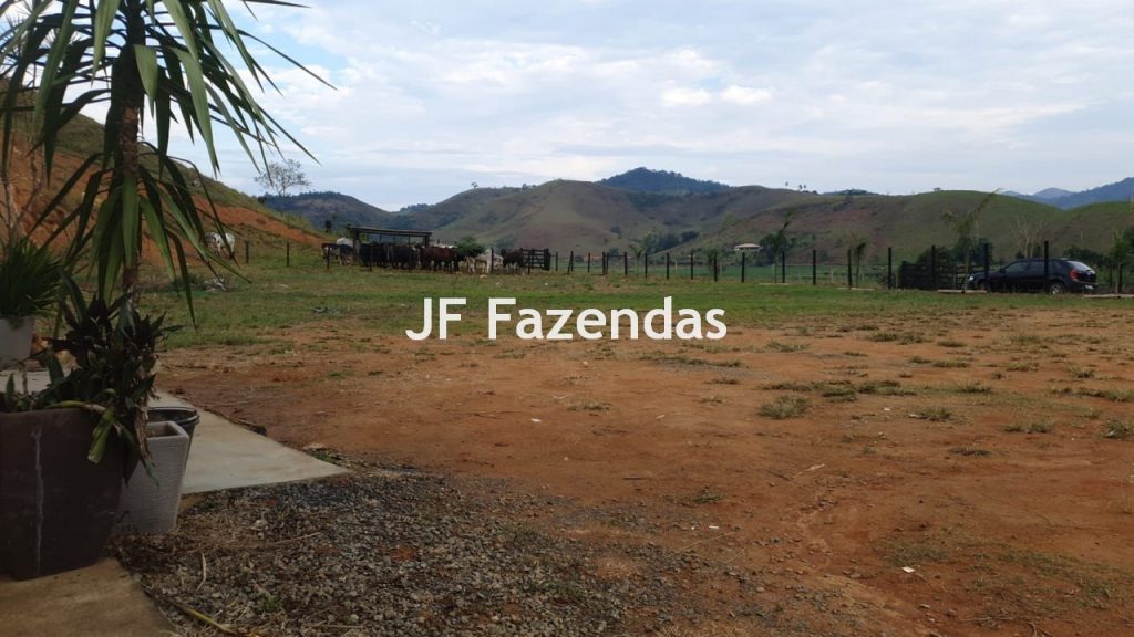 Sitio em Piau-MG – 31.9 hectares