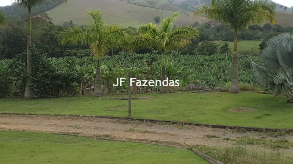 Sitio em Piau-MG – 30 hectares