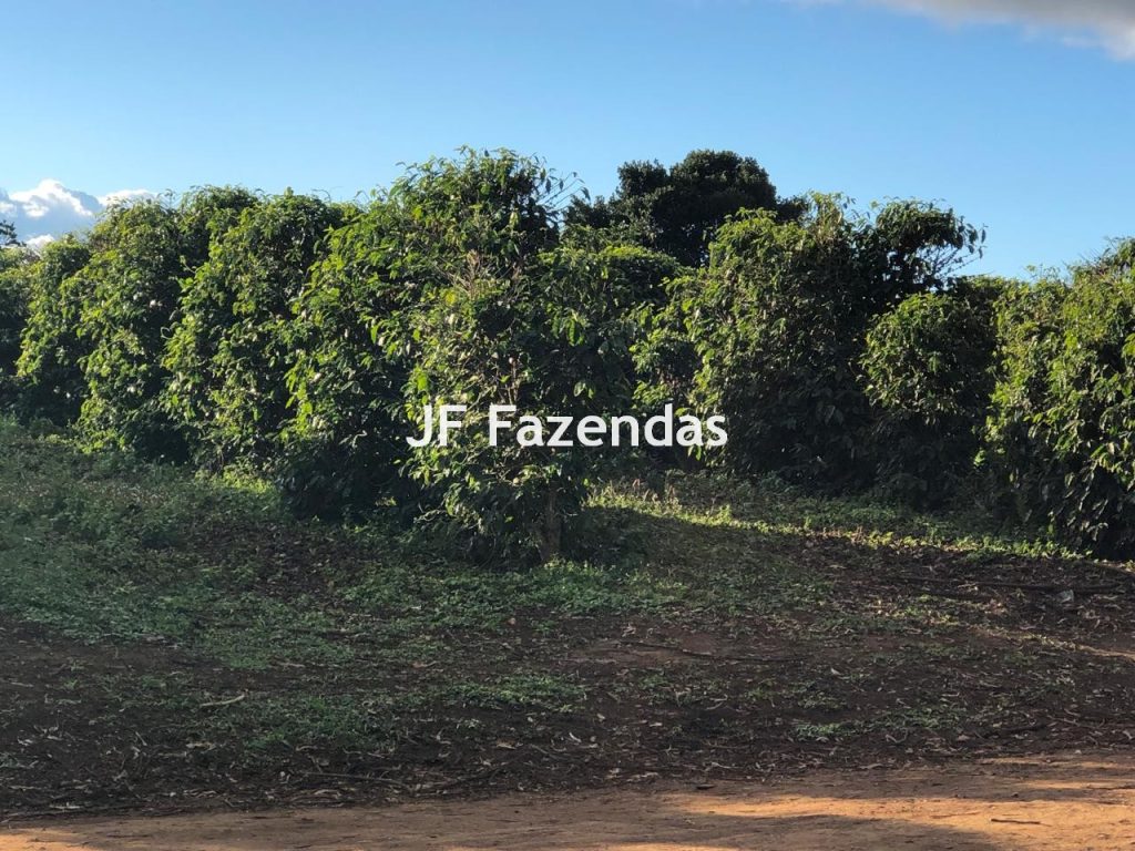 Fazenda em Bonito – BA – 212 hectares