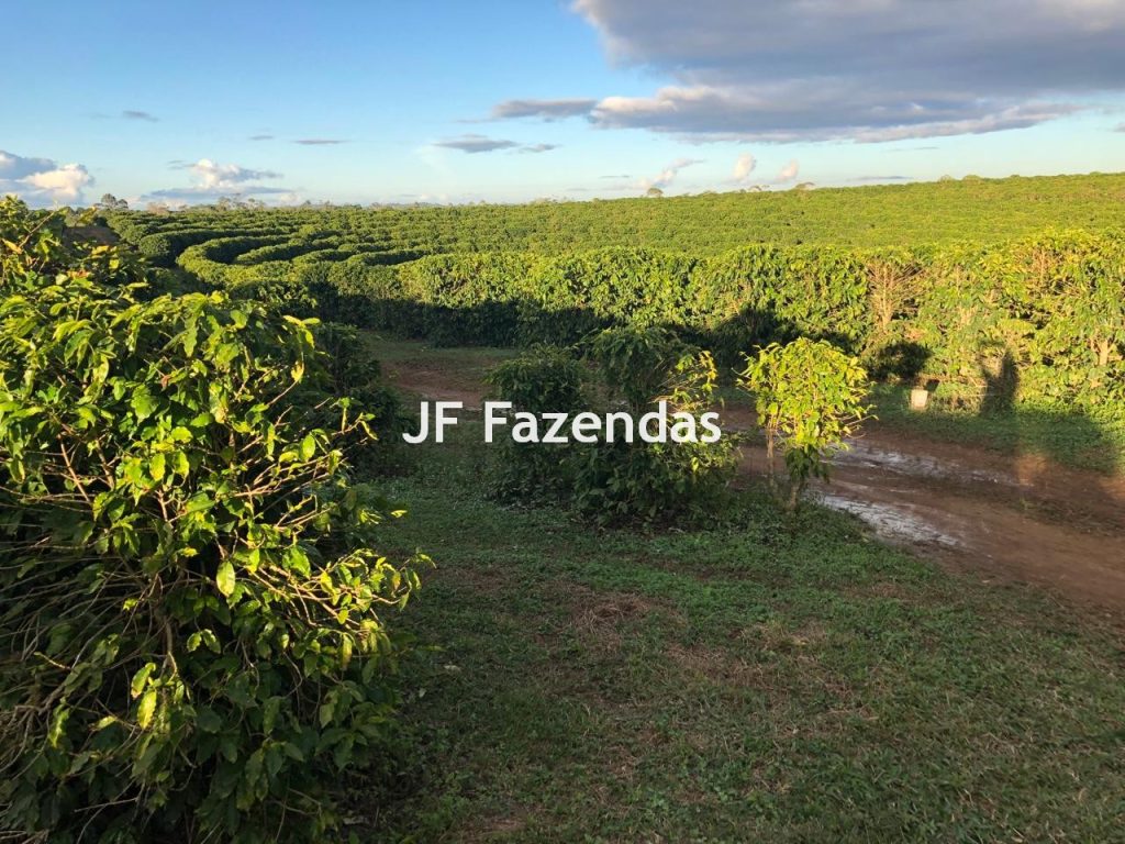 Fazenda em Bonito – BA – 212 hectares