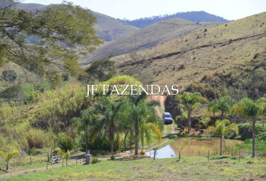 Sitio em Juiz de Fora-MG – 86 hectares