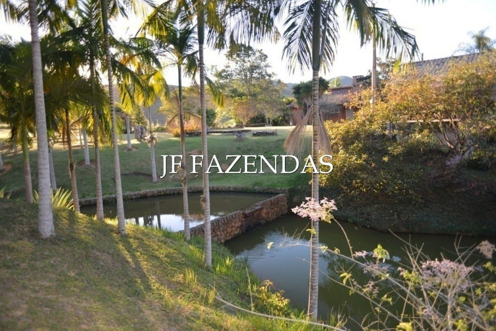 Sitio em Juiz de Fora-MG – 86 hectares