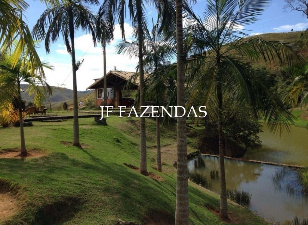 Sitio em Juiz de Fora-MG – 86 hectares