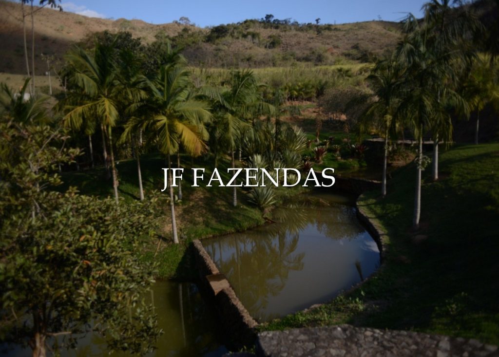 Sitio em Juiz de Fora-MG – 86 hectares