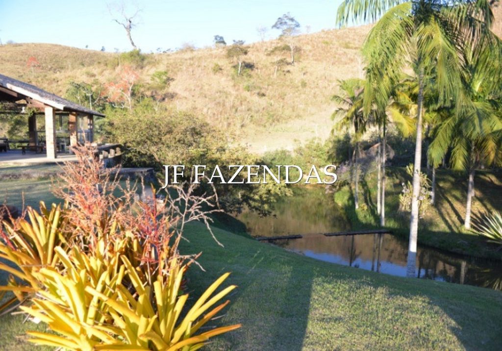 Sitio em Juiz de Fora-MG – 86 hectares