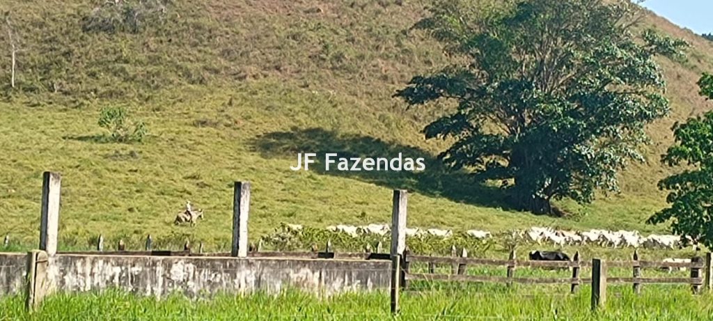 Fazenda em Guarará – MG 415 hectares