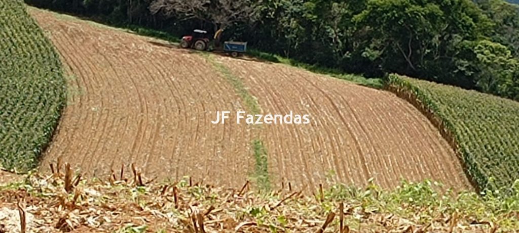 Fazenda em Guarará – MG 415 hectares