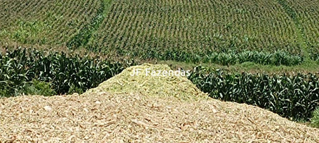 Fazenda em Guarará – MG 415 hectares